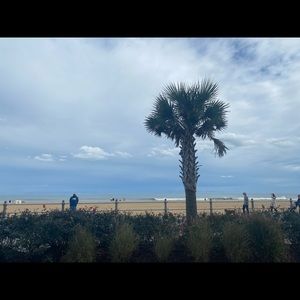 Meet your Posher, Luna